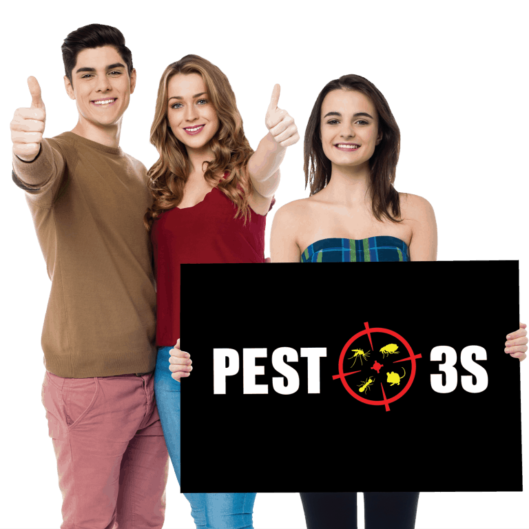 Hình ảnh quảng cáo Pest3s