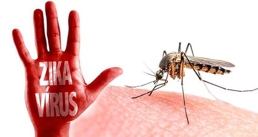 Phun thuốc diệt muỗi để phòng Virus Zika