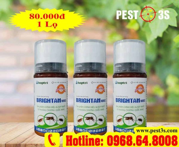 Brightan 10SC (100ml) - Thuốc diệt muỗi an toàn của Hockley Anh Quốc