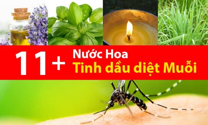 11 loại nước hoa và tinh dầu diệt muỗi