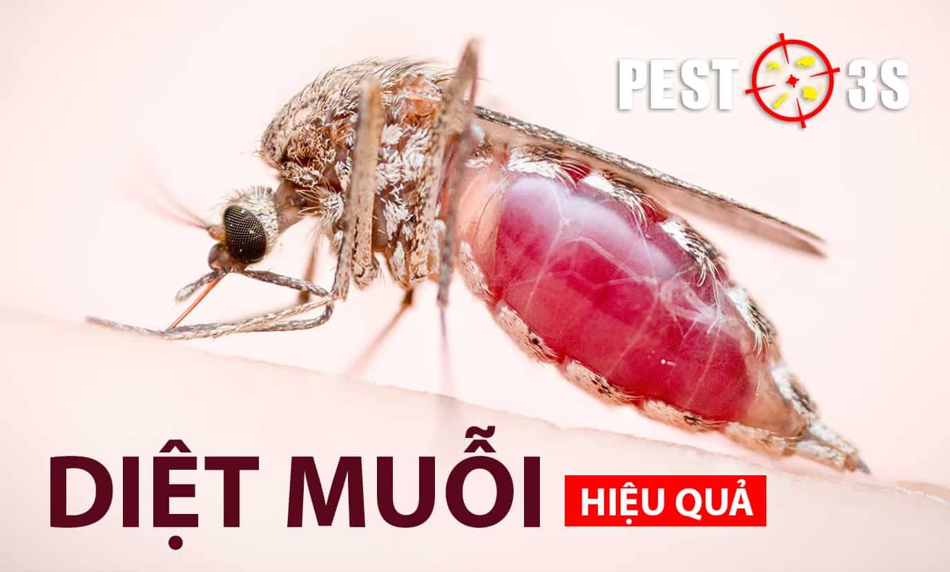 Cách diệt ấu trùng muỗi và muỗi hiệu quả